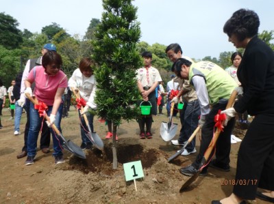 親植羅漢松 植樹樂融融